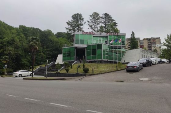 მოზარდის ჩვენების საფუძველზე, წყალტუბოში მამა და ბიძა დააკავეს