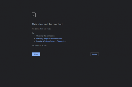 "ალტ-ინფოს" საიტი, სავარაუდოდ,  ქართველმა ჰაკერებმა გათიშეს