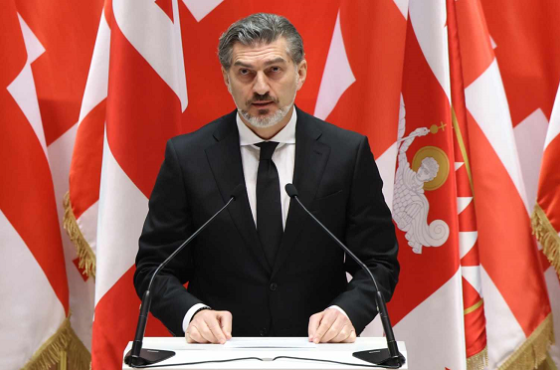 სამშვიდობო პოლიტიკა, პოლარიზაცია, ტრამპი, შეწყალების აქტი - რაზე ისაუბრა ყაველაშვილმა