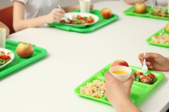 "ვიწყებთ მსჯელობას და ფიქრს სისტემაზე, როგორ დავფაროთ სკოლებში ბავშვთა კვება"