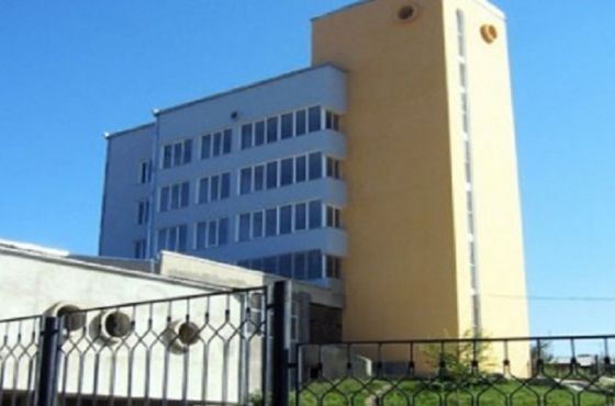 ,,სავანეს’’ მხარდამჭერ აქციაზე დაკავებული პირი თავისუფალია 