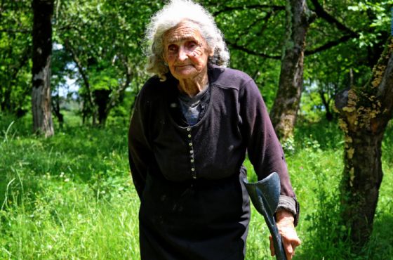 შინ წასული პედაგოგები (ვიდეო)