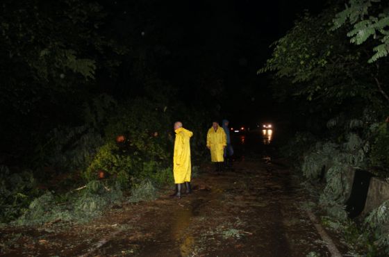 იმერეთში მოსულმა უხვმა ნალექმა ოთხი მუნიციპალიტეტი დააზარალა