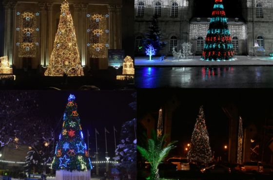 იმერეთის მუნიციპალიტეტების  მთავარი ნაძვის ხეები (ფოტო)