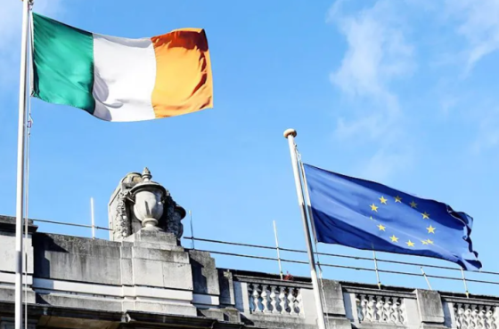 ირლანდიის სენატი ევროკავშირს მოუწოდებს საქართველოს ევროკავშირის კანდიდატი ქვეყნის სტატუსი მიანიჭოს