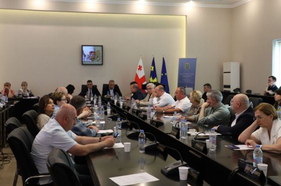 ქუთაისის საკრებულოზე, მერიის შტატები 24 ადამიანით გაზარდეს