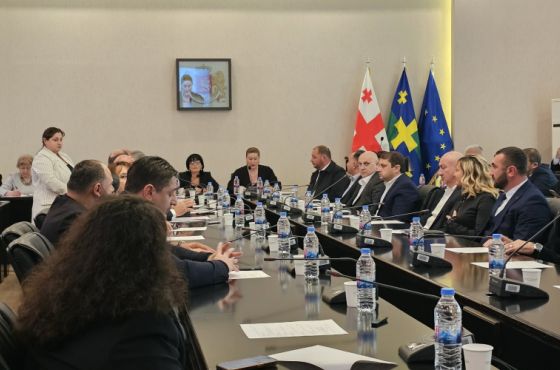 ვინ მოხვდა ქუთაისის ახლადარჩეულ მერვე მოწვევის საკრებულოში