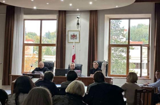 ქუთაისის სააპელაციო სასამართლომ არასამთავრობოების არცერთი საჩივარი არ დააკმაყოფილა