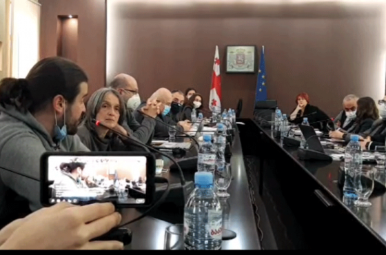 "ეს არის მოსახლეობის მასხრად აგდება'' - მინისტრებმა ხეობის "მცველებთან" გამართული შეხვედრა დატოვეს