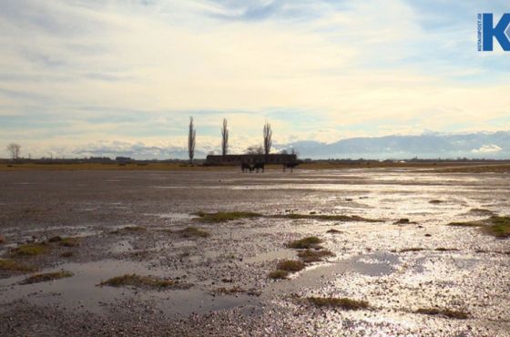 #0331 ფილტრაციული ბანაკის ტყვეები ქუთაისში 