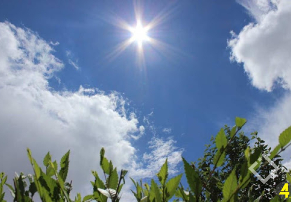 გარემოს ეროვნული სააგენტოს მოკლევადიანი პროგნოზების სამმართველოს
უფროსის, დოდო გვაზავას ინფორმაციით, დასავლეთ საქართველოში,
მიმდინარე კვირას, თბილი და უმეტესად უნალექო ამინდია მოსალოდნელი.