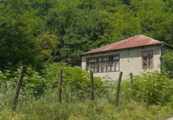 ხარაგაულის სოფელ ხემაღალისა და ღვერკის შემდეგ, საცხოვრებელ
სახლებზე ბზარები უკვე მეზობელ სოფელ ხორითშიც გაჩნდა.

