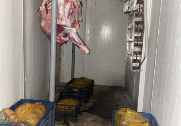 სურსათის ეროვნულმა სააგენტომ, თბილისში, ზესტაფონსა და ვანში,
არალეგალური სასაკლაოები გამოავლინა.