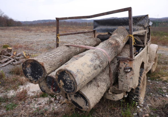 იმერეთის სატყეო სამსახურის თანამშრომლებმა, ჭიათურაში, სახელმწიფო
ტყის ტერიტორიაზე ხე-ტყის უკანონო მოპოვებისა და ტრანსპორტირების
ფაქტი გამოავლინეს.