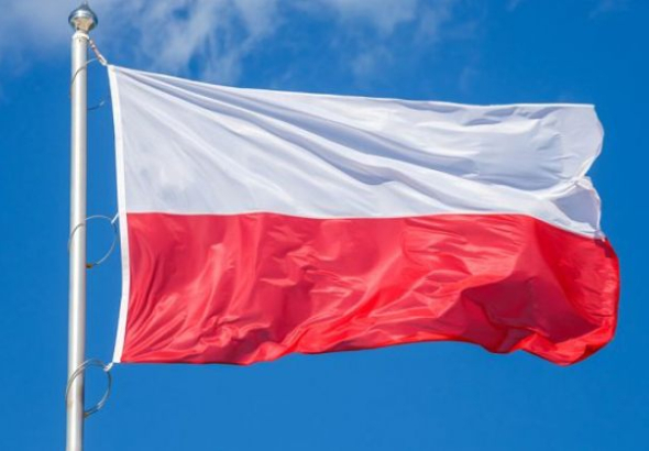 „გთხოვთ, საქართველოში გამგზავრებამდე გაითვალისწინოთ, არსებობს თუ
არა თქვენს კონკრეტულ შემთხვევაში ფაქტორები, რომლებიც შესვლაზე უარის
თქმის რისკს ზრდის“, - ამის შესახებ მოქალაქეებისადმი მიმართვას
საქართველოში პოლონეთის საელჩო ავრცელებს.