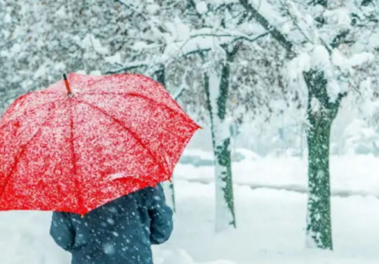 ნალექი, უმეტესად თოვლის სახით, ქარი, ნისლი - უახლოესი დღეების ამინდის პროგნოზი საქართველოში