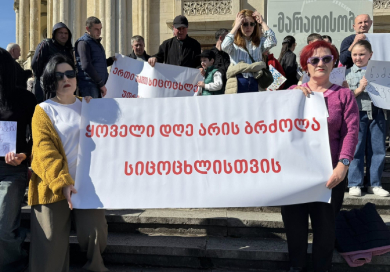 მიეცით წამალი ბავშვები - მშობლების აქცია ქუთაისში 