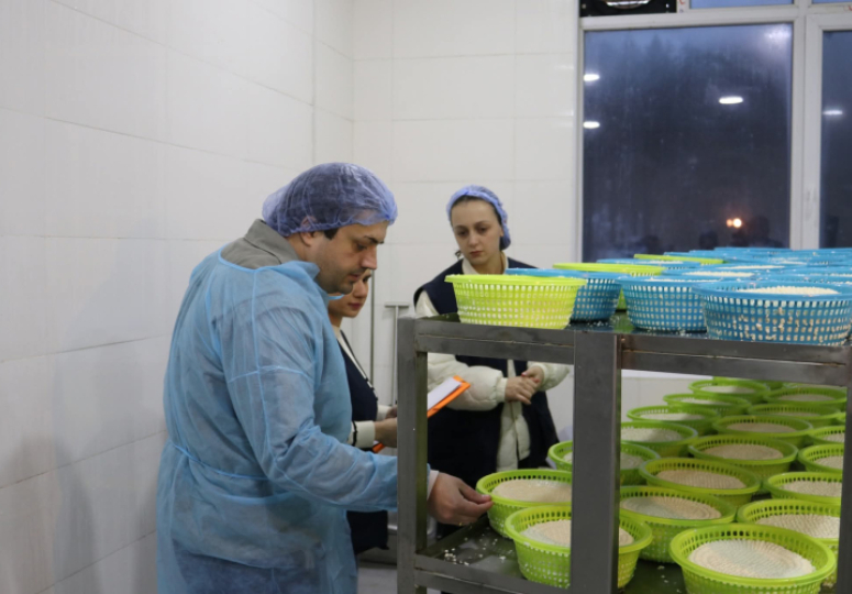 სურსათის სააგენტომ, იმერეთში, ყველის არალეგალური საწარმოები გამოავლინა