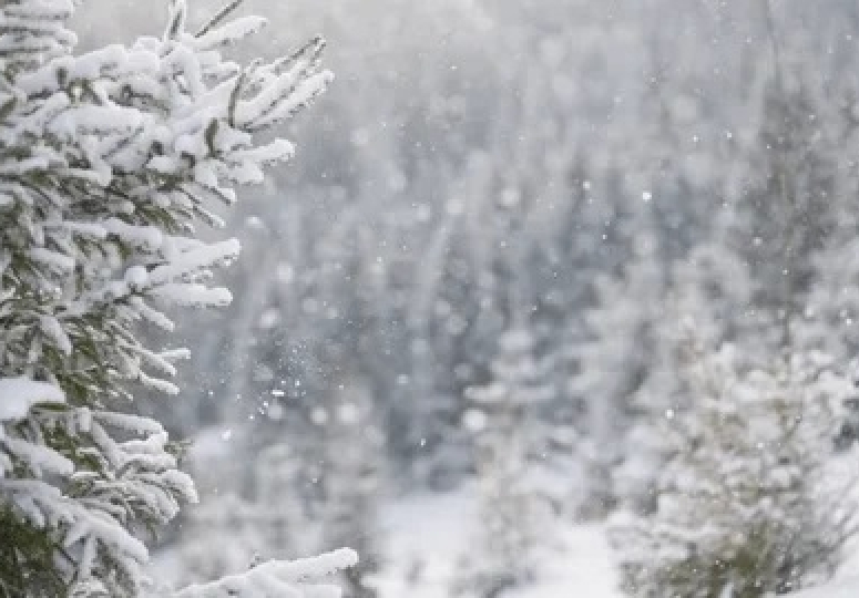 3 იანვრამდე საქართველოში ცივი და ნალექიანი ამინდი შენარჩუნდება