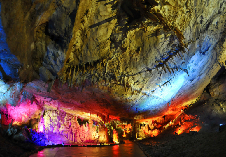 2025 წლის 11 თვის მონაცემებით, დაცულ ტერიტორიებს  1 214 653 ვიზიტორი ეწვია