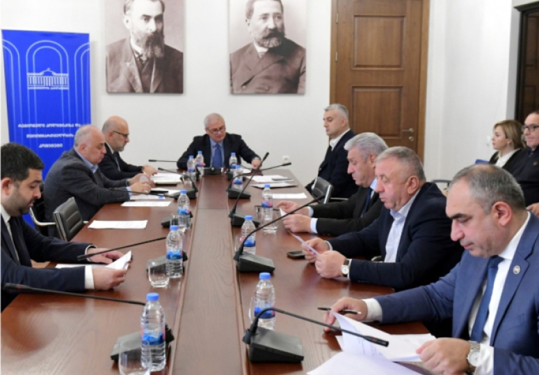 მუნიციპალიტეტის საკრებულოში ფრაქციების შექმნის წესი იცვლება - რას ითვალისწინებს კანონპროექტი