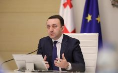 "ხელისუფლების პანიკურმა რეაქციამ და აბსოლუტურად არაადეკვატურმა ქცევამ სისტემის სრული ლუსტრაცია მოახდინა"