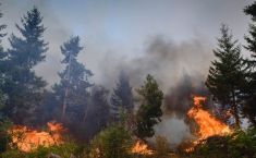 ბაღდათში, ტყის ფერდობზე, ხანძარია - სალიკვიდაციო სამუშაოებში 200-მდე მეხანძრე-მაშველი და სამი ვერტმფრენია ჩართული