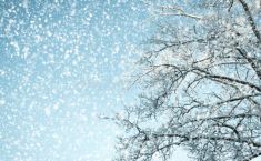 როგორი ამინდი იქნება მიმდინარე კვირას დასავლეთ საქართველოში