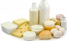 "ეს კეთილსინდისიერი ბიზნესის ხელშეწყობაა" - ახალი კანონი რძის პროდუქტების წარმოებაში
