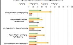  შოთა მურღულიას მუშაობას 46 პროცენტი საშუალოდ აფასებს -NDI-ის კვლევის შედეგები