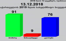 პარლამენტმა 2019 წლის სახელმწიფო ბიუჯეტი დაამტკიცა