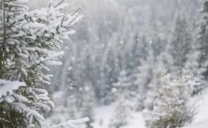 თოვლი, ქარბუქი, ნისლი - 20 იანვრამდე მოსალოდნელი ამინდის პროგნოზი საქართველოში