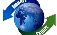 2024 წელს უმსხვილესი საიმპორტო პარტნიორი ქვეყნები თურქეთი, აშშ და რუსეთია