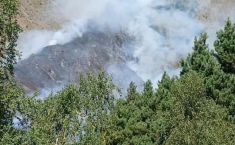 ბაღდათის მუნიციპალიტეტში, ტყეში გაჩენილი ხანძარი ლიკვიდირებულია