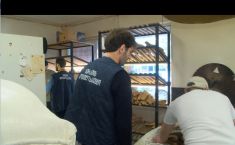 "გამოვლინდა 173 სამართალდარღვევა" - სურსათის სააგენტო სკოლების მიმდებარედ არსებულ კვების ობიექტებს ამოწმებს  