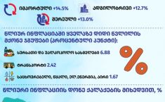 საქართველოში წლიურმა ინფლაციამ 13,3% შეადგინა, შარშან ამ დროს - 7.7% იყო