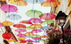 ქუთაისში ფერადი ქოლგების ფლეშმობი გაიმართება