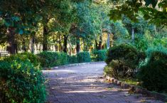 ქუთაისის მერია სკვერებისა და გაზონების მოვლა-პატრონობისა და ექსპლოატაციისთვის 2 მილიონამდე ლარის ტენდერს აცხადებს