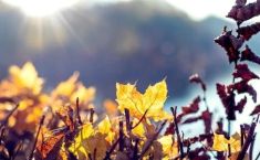 22 დეკემბრის ჩათვლით, საქართველოში უნალექო ამინდი შენარჩუნდება