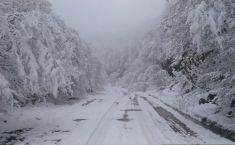 დღეს საქართველოს ზოგიერთ რეგიონში ძლიერი თოვაა მოსალოდნელი