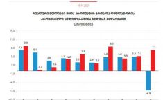 საქართველოს ეკონომიკა 2020 წელს 6.8%-ით შემცირდა