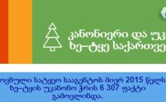 კანონიერი და უკანონო ხე-ტყე საქართველოში (ინფოგრაფიკა)