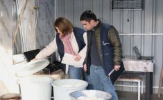 სამტრედიაში ყველის არალეგალური საწარმოები გამოვლინდა